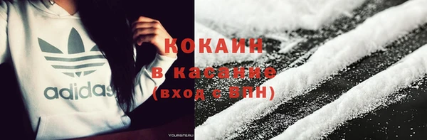 ешки Алексин