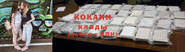 ешки Алексин
