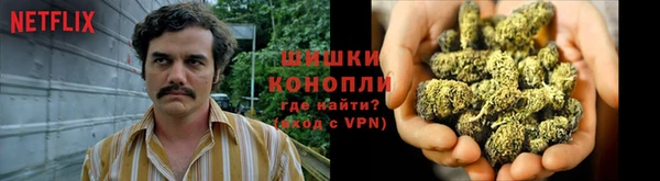 ешки Алексин