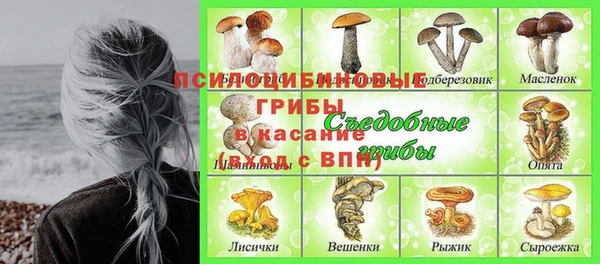 ешки Алексин