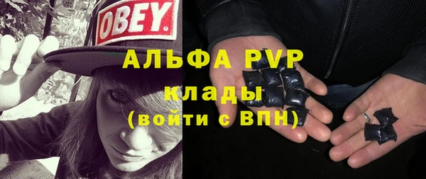 ешки Алексин