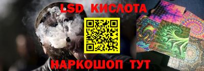 прущие грибы Волгодонск