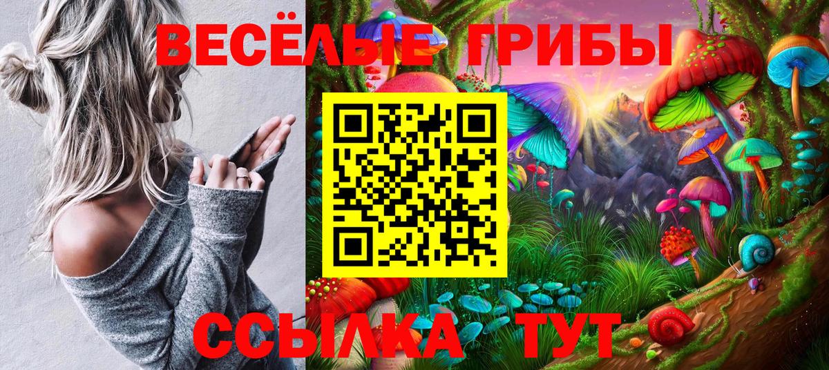 Апшеронск  Псилоцибиновые грибы Psilocybine cubensis  купить закладку  Вход с VPN 